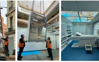 Drôle d’oiseau dans le ciel de Paris