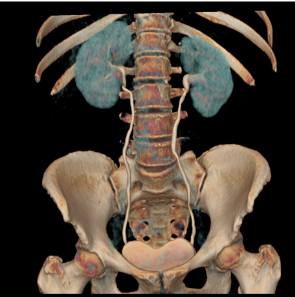 imagerie Génito urinaire Paris