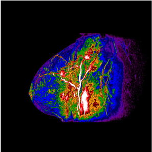imagerie de la femme Paris